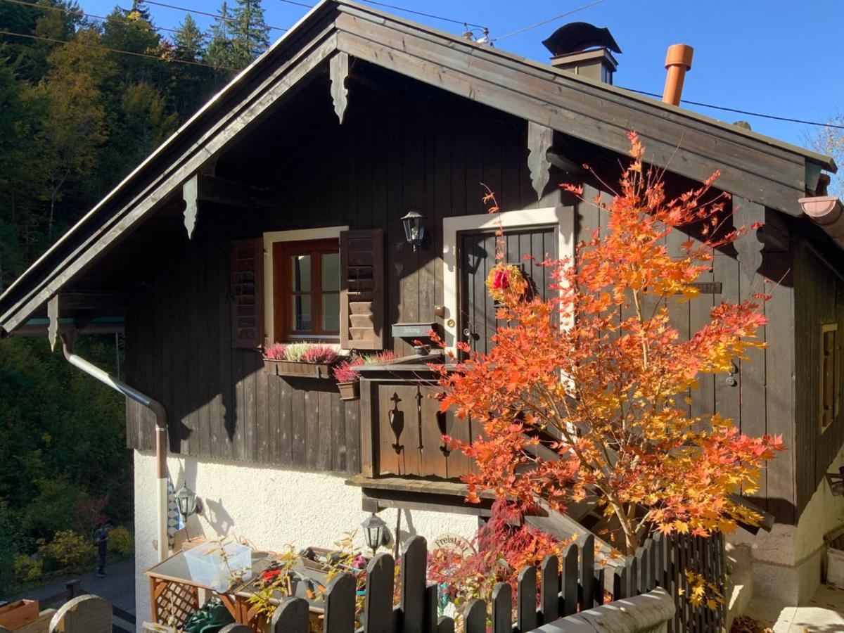Apartment Am Alpbach *