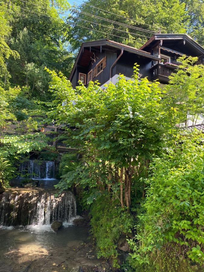 Am Alpbach *