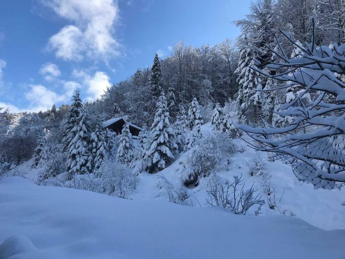 Am Alpbach Tegernsee